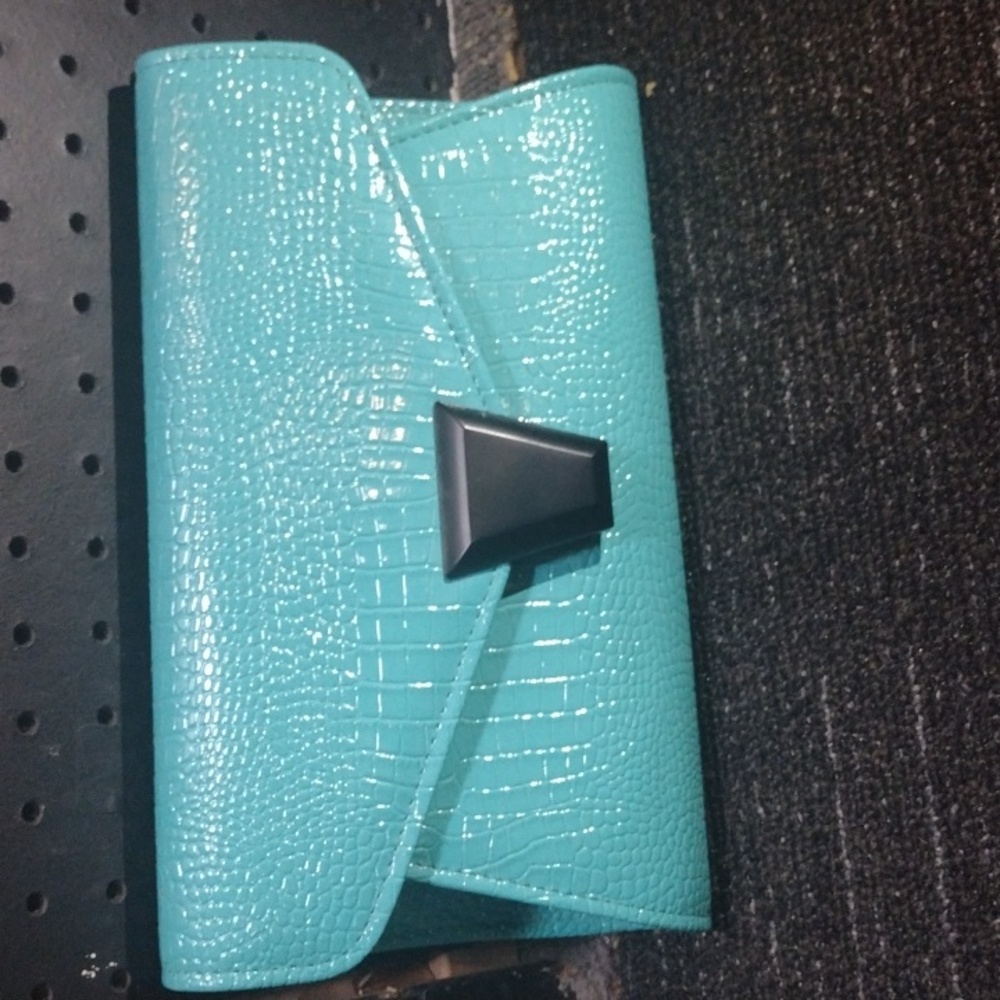 Turquoise Snakeskin Clutch Purse